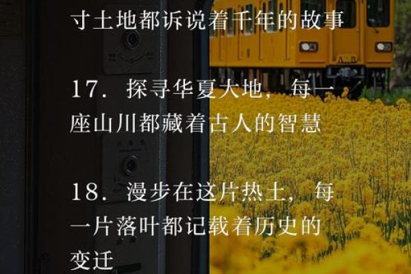 翻阅中华万年历:探寻华夏文明的历史足迹 翻阅中华万年历:探寻华夏文明的历史足迹