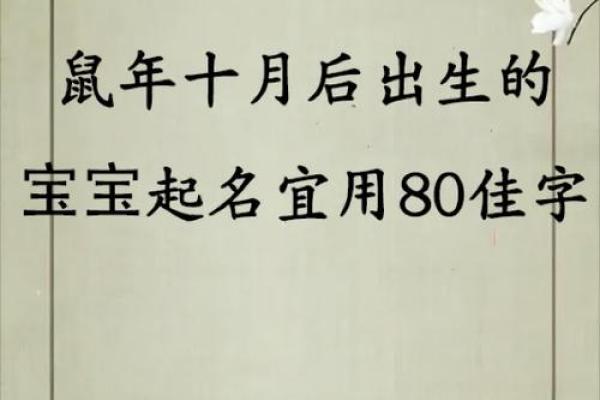 鼠年宝宝名字大全:传承与现代的完美结合 鼠年宝宝名字大全:传承与现代的完美结合