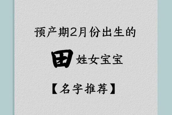 田姓家族的历史与未来展望 田姓家族的历史与未来展望