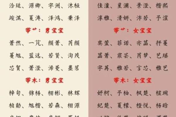 影响孩子一生的名字选择指南 影响孩子一生的名字选择指南