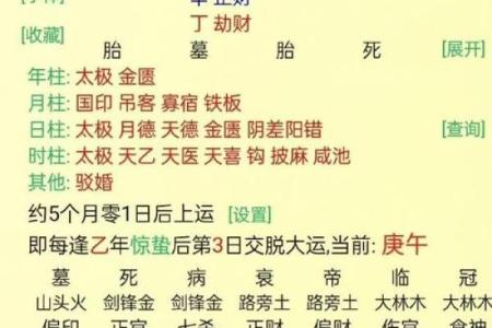 甲子年命理解析：如何通过命理优化你的婚姻运势