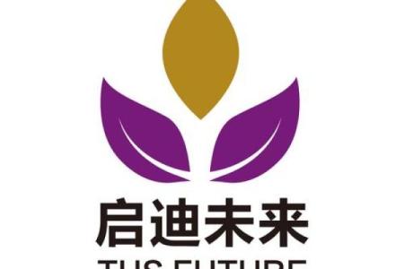 三字投资公司名称的选择技巧与建议