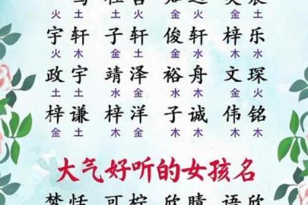 龙宝宝起名字大全：为您的小龙挑选一个独特的名字