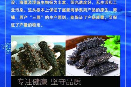 如何为海产品公司起个既独特又吸引顾客的名字