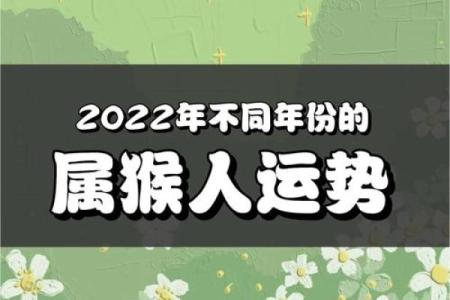 猴八月运势详解：属猴人的好运与挑战