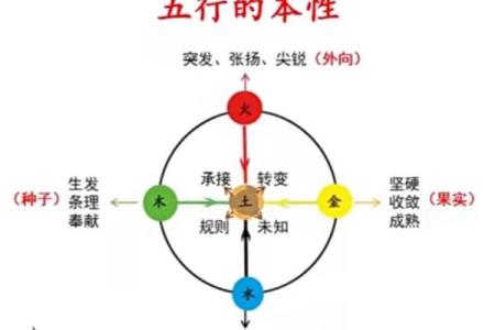 鲁的五行属性揭秘：了解鲁的五行特征与意义