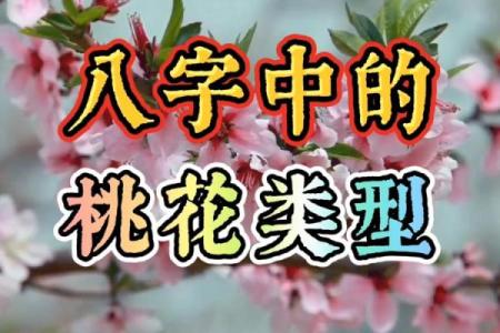 八字桃花运揭秘：如何利用命理吸引真爱？