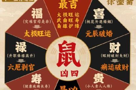 属鼠运势波动及应对策略