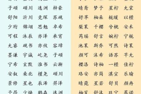 给宝宝起个带“念”字的名字，寓意深远且独特