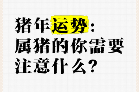 猪年生人运势解析