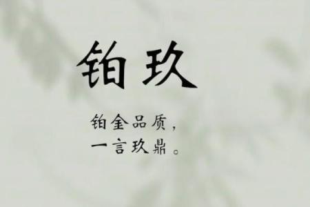 如何为服装外贸公司起个响亮且具吸引力的名字