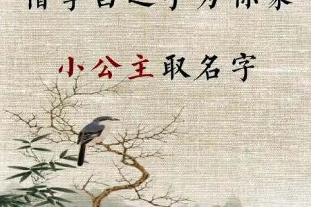 用诗字赋予女宝宝独特的气质