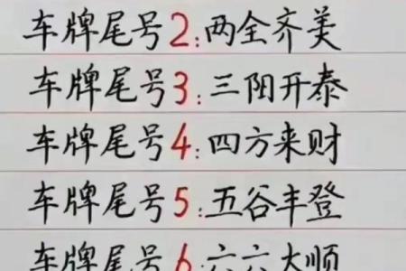 选择合适车牌号码，助你事业顺风顺水