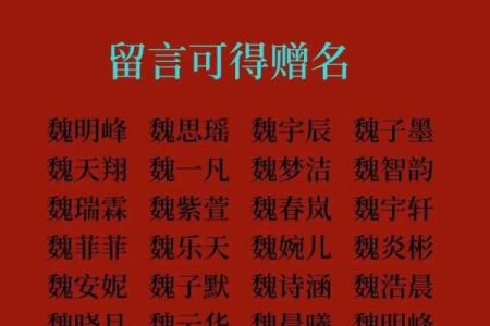 出生宝宝起名指南：如何选个吉利又独特的名字