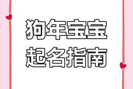 属狗宝宝起名指南：如何为孩子挑选合适的名字