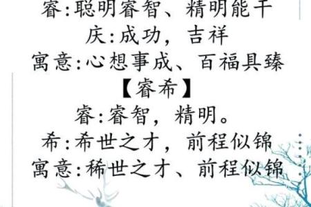 创意与传统结合的鼠年宝宝名字大全