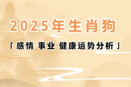 属狗人全年运势解析：挑战与机遇并存