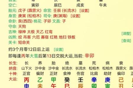 探索华盛八字：如何利用八字预测未来成功之路