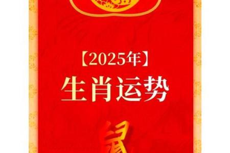 腊月运势大揭秘：鼠人如何迎接财富与机遇