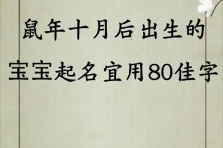 鼠年宝宝名字大全：传承与现代的完美结合