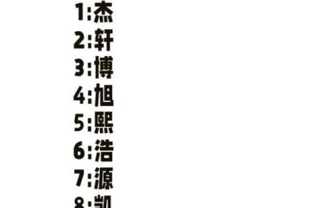 适合二字男生名字的独特选择与寓意解析