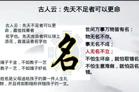 公司起名字测字的重要性与技巧解析