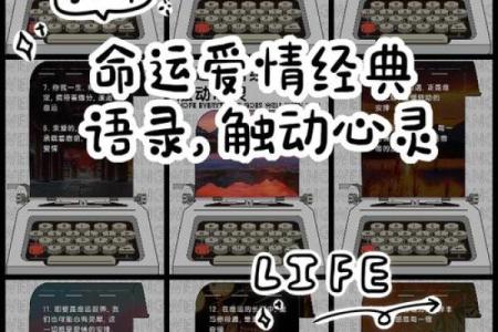 免费测八字姻缘，轻松揭开你爱情的命运密码