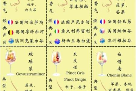 酒业公司贸易品牌命名指南与创意策略