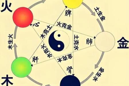 探索火土风水的深层联系及应用