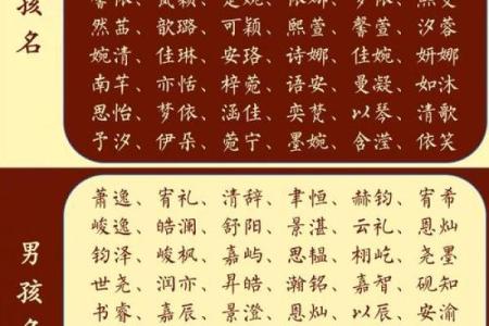 影响孩子一生的名字选择指南