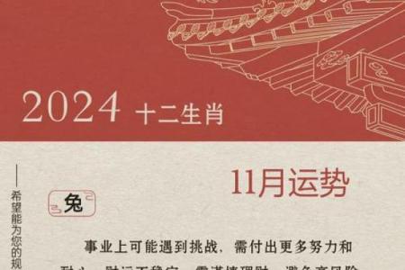 农历兔：年底转运的生肖机遇