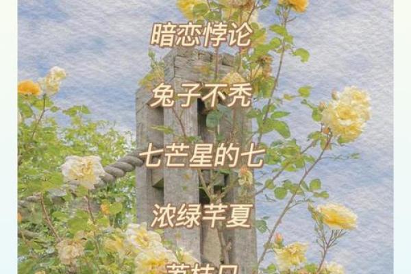 小仙女名字灵感推荐,带你找到完美称呼 小仙女名字灵感推荐,带你找到完美称呼