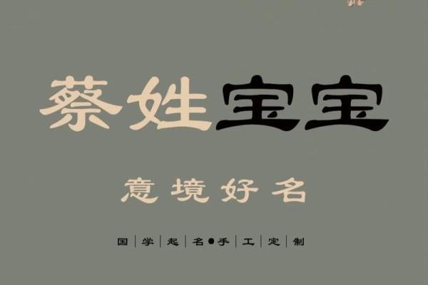 猪年出生宝宝起名注意事项:选个吉利又有意义的名字 猪年出生宝宝起名注意事项:选个吉利又有意义的名字