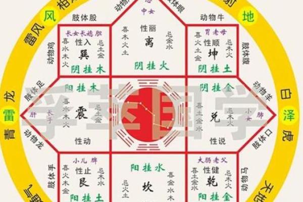 五行八卦算命揭秘:如何通过八卦和五行了解自己的命运走向 五行八卦算命揭秘:如何通过八卦和五行了解自己的命运走向