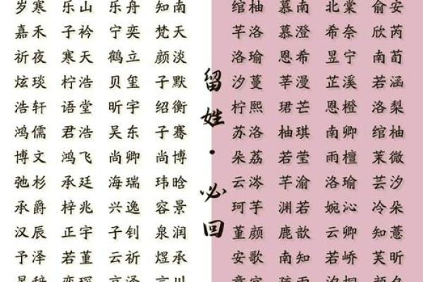 奕女孩名字的寓意与选取指南 奕女孩名字的寓意与选取指南