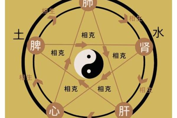 张五行笔画解析：揭开五行与书法的神秘联系