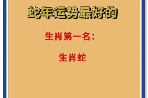属蛇人的运势解析与未来展望 属蛇人的运势解析与未来展望