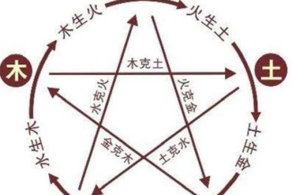 迪字五行属性解析:它到底属于什么元素? 迪字五行属性解析:它到底属于什么元素?