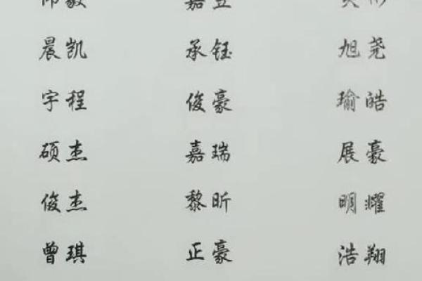 最受欢迎的中国男宝宝名字大全 最受欢迎的中国男宝宝名字大全