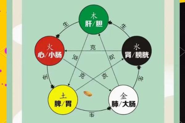 如何通过五行来分析你的命运和性格 如何通过五行来分析你的命运和性格