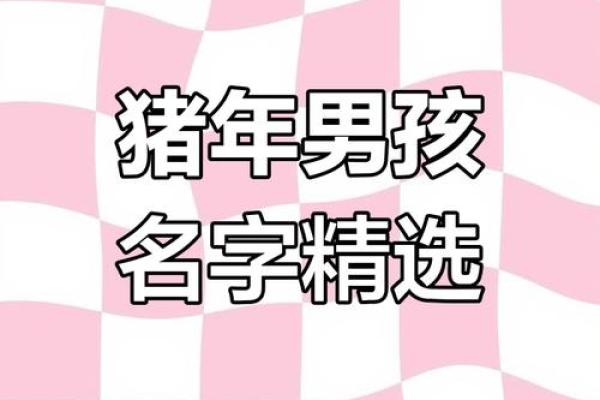 如何为猪年出生的宝宝起个有意义的名字 如何为猪年出生的宝宝起个有意义的名字