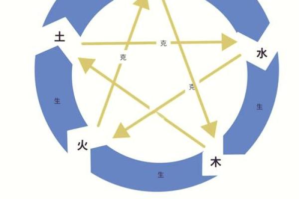 柟树五行属性揭秘,了解它与五行的关系 柟树五行属性揭秘,了解它与五行的关系