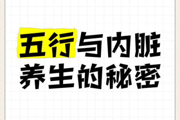 了解中医五行指,掌握健康调理的秘密 了解中医五行指,掌握健康调理的秘密