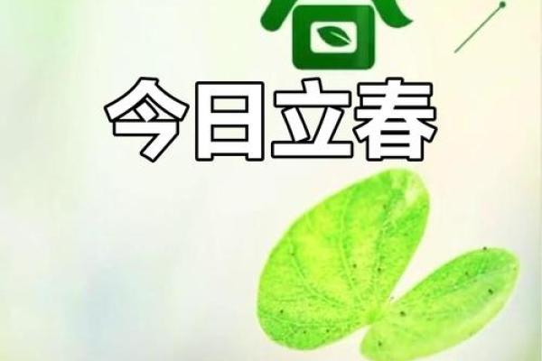 农历仲春,感受大自然的复苏与生机 农历仲春,感受大自然的复苏与生机
