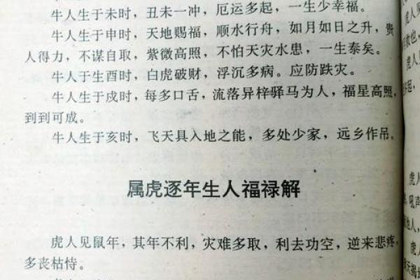 出生属虎人运势指南 出生属虎人运势指南