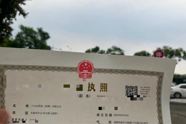 天马字寓意深远的公司起名策略解析 天马字寓意深远的公司起名策略解析