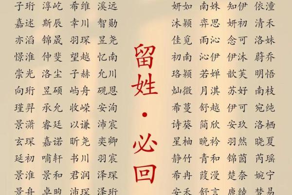 徐男孩名字中的五行与命理分析 徐男孩名字中的五行与命理分析