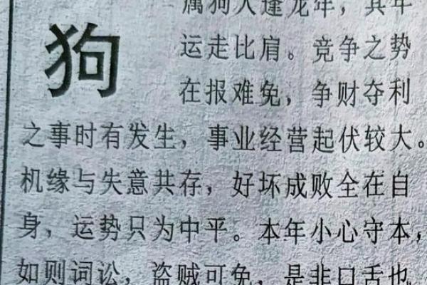 属狗人感情运势大揭秘 属狗人感情运势大揭秘