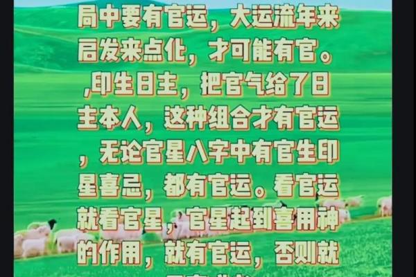 温八字解密:你的一生命运是否已经注定 温八字解密:你的一生命运是否已经注定