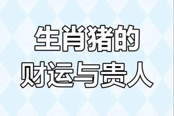 出生的属猪人运势详解 出生的属猪人运势详解